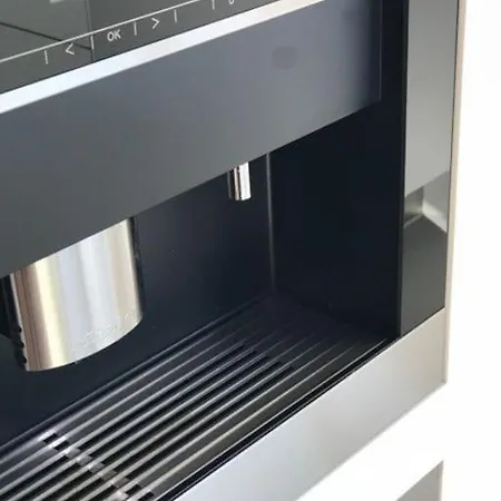 Modern Levo 弗利姆斯
